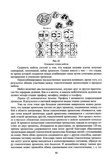 Фотография книги "Мельченко, Мазиров, Беленков: Биология с основами экологии. Учебник для вузов"