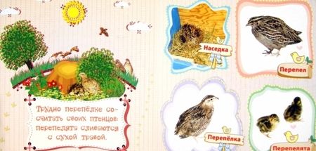 Фотография книги "Мельник: Домашние птицы и их птенцы"