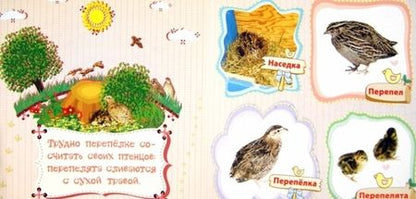 Фотография книги "Мельник: Домашние птицы и их птенцы"