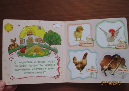 Фотография книги "Мельник: Домашние птицы и их птенцы"