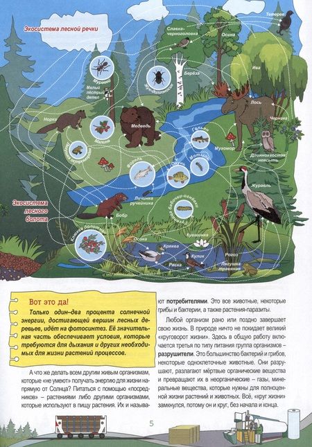 Фотография книги "Мельникова: Активити-викторина. Просто о лесе"
