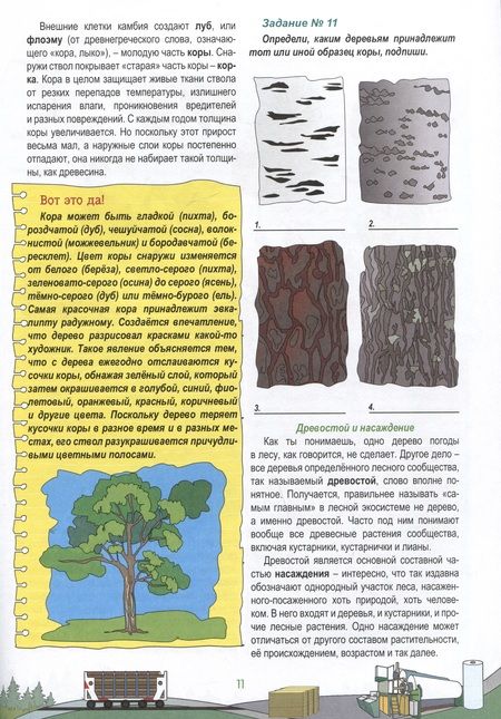 Фотография книги "Мельникова: Активити-викторина. Просто о лесе"