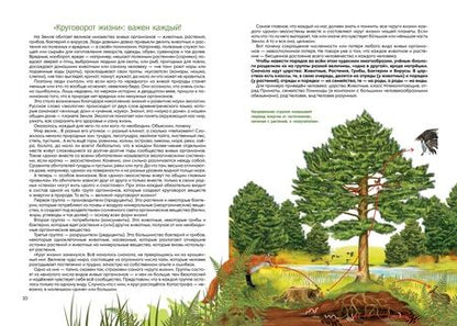 Фотография книги "Мельникова: Красная книга Республики Коми для детей"