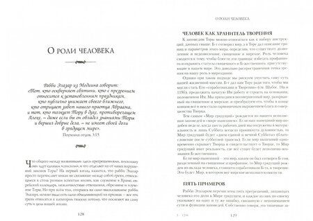 Фотография книги "Менахем-Мендл Шнеерсон: За буквой Закона. Учение Ребе Менахема-Мендла Шнеерсона"