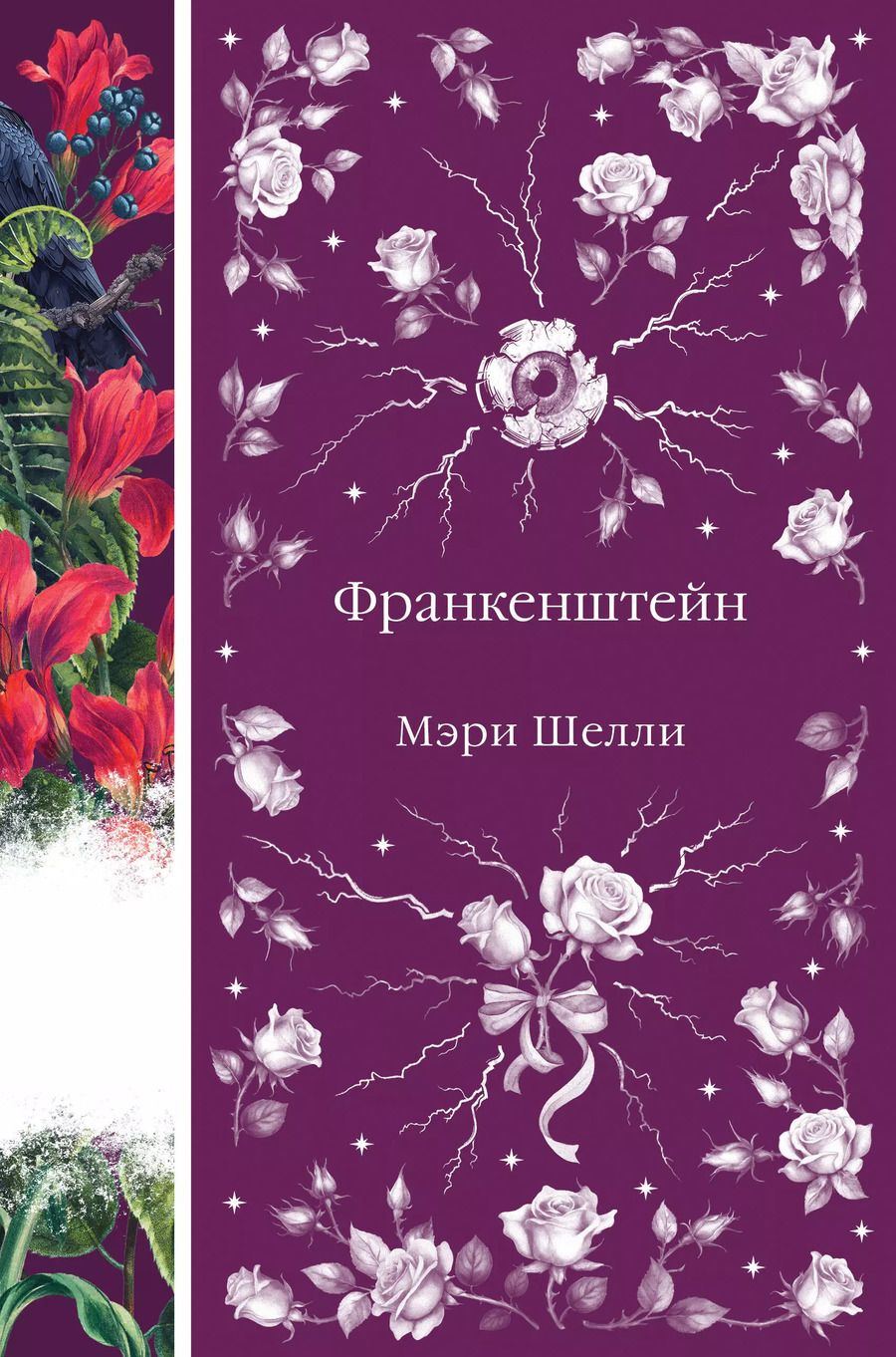 Обложка книги "Мэри Шелли: Франкенштейн"