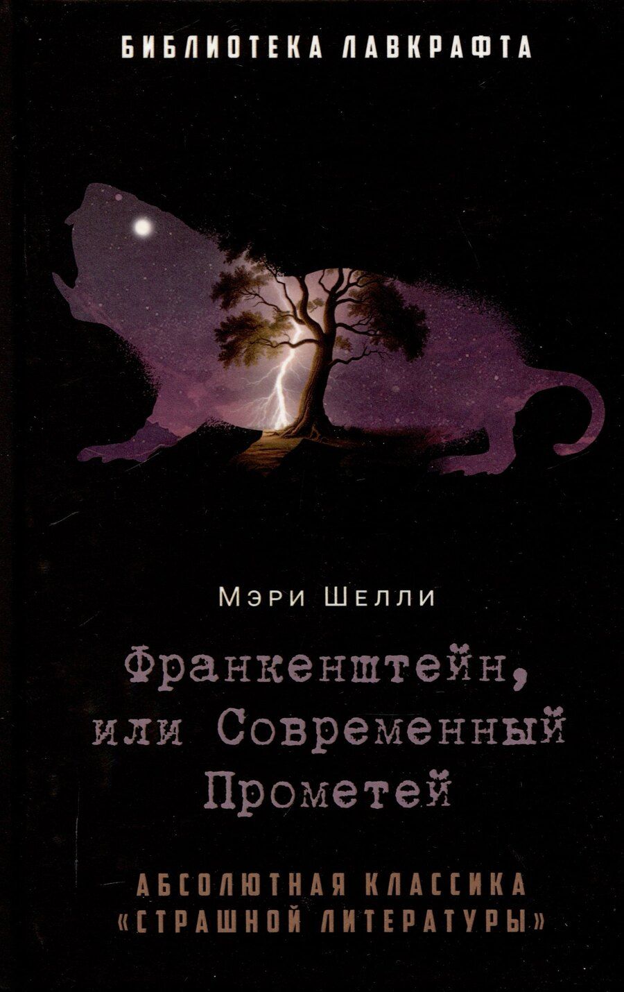 Обложка книги "Мэри Шелли: Франкенштейн, или Современный Прометей"
