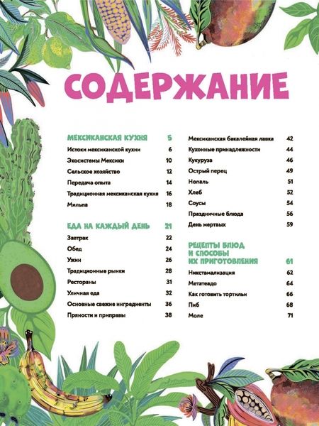 Фотография книги "Мерседес Аумада: Мексиканская кухня в иллюстрациях"