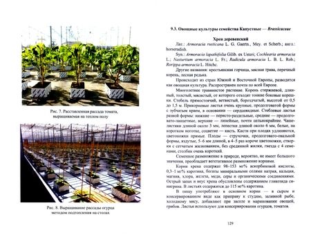 Фотография книги "Мешков, Терехова, Константинович: Овощеводство. Практикум. Учебное пособие для СПО"