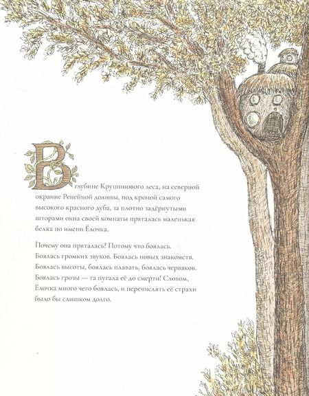 Фотография книги "Мэттью Корделл: Белка Ёлочка"
