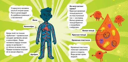 Фотография книги "Ми-ми-мишки. Тело человека. Почему сердце стучит, живот бурчит, и как ты появился на свет?"