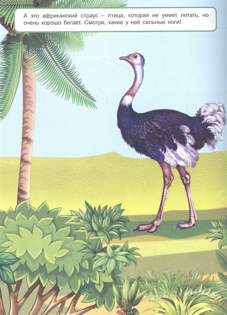 Фотография книги "Мы идём в поход. Книжка с многоразовыми наклейками"