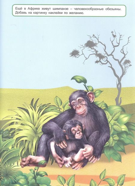 Фотография книги "Мы идём в поход. Книжка с многоразовыми наклейками"