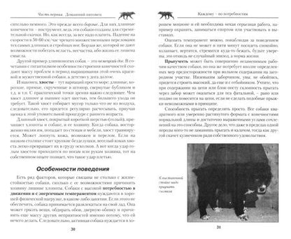 Фотография книги "Мычко: Устройство племенного питомника и домашнее содержание собак. Организация. Строительство"