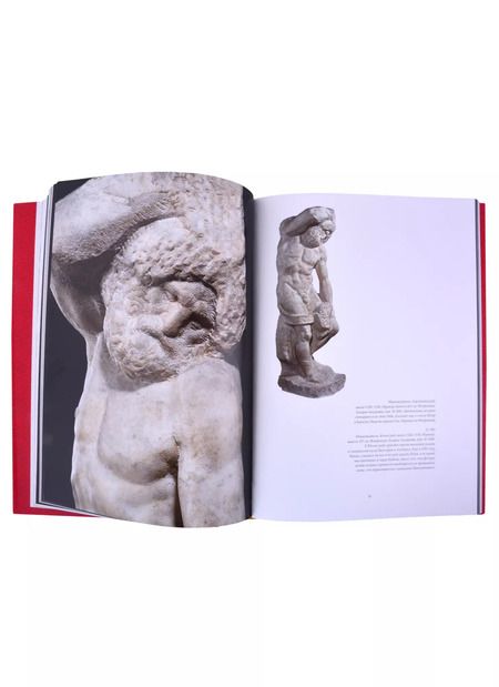 Фотография книги "Микеланджело 500"