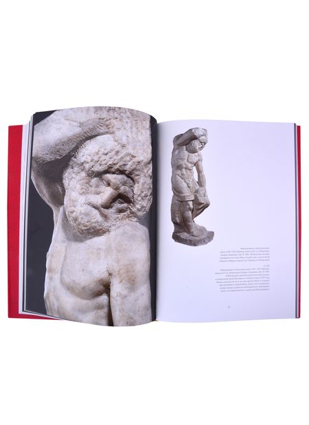 Фотография книги "Микеланджело 500"