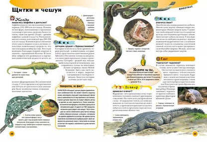 Фотография книги "Микеле Лауро: Энциклопедия современного школьника"