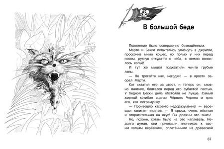 Фотография книги "Михаэль Пайнкофер: ДХЛ. Крысы-пираты. Месть капитана пиратов"