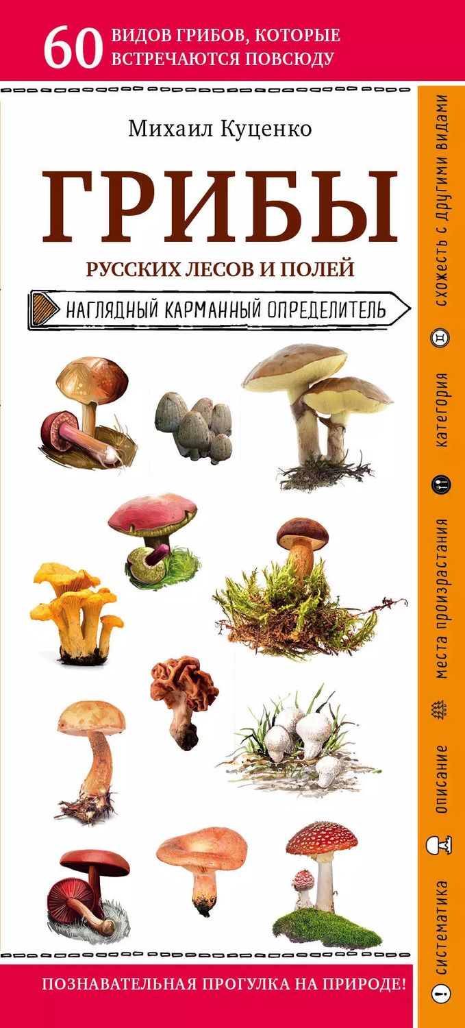 Обложка книги "Михаил Куценко: Грибы русских лесов и полей. Наглядный карманный определитель"