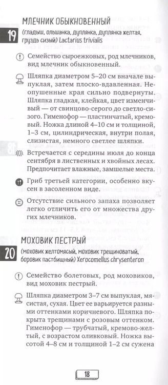 Фотография книги "Михаил Куценко: Грибы русских лесов и полей. Наглядный карманный определитель"