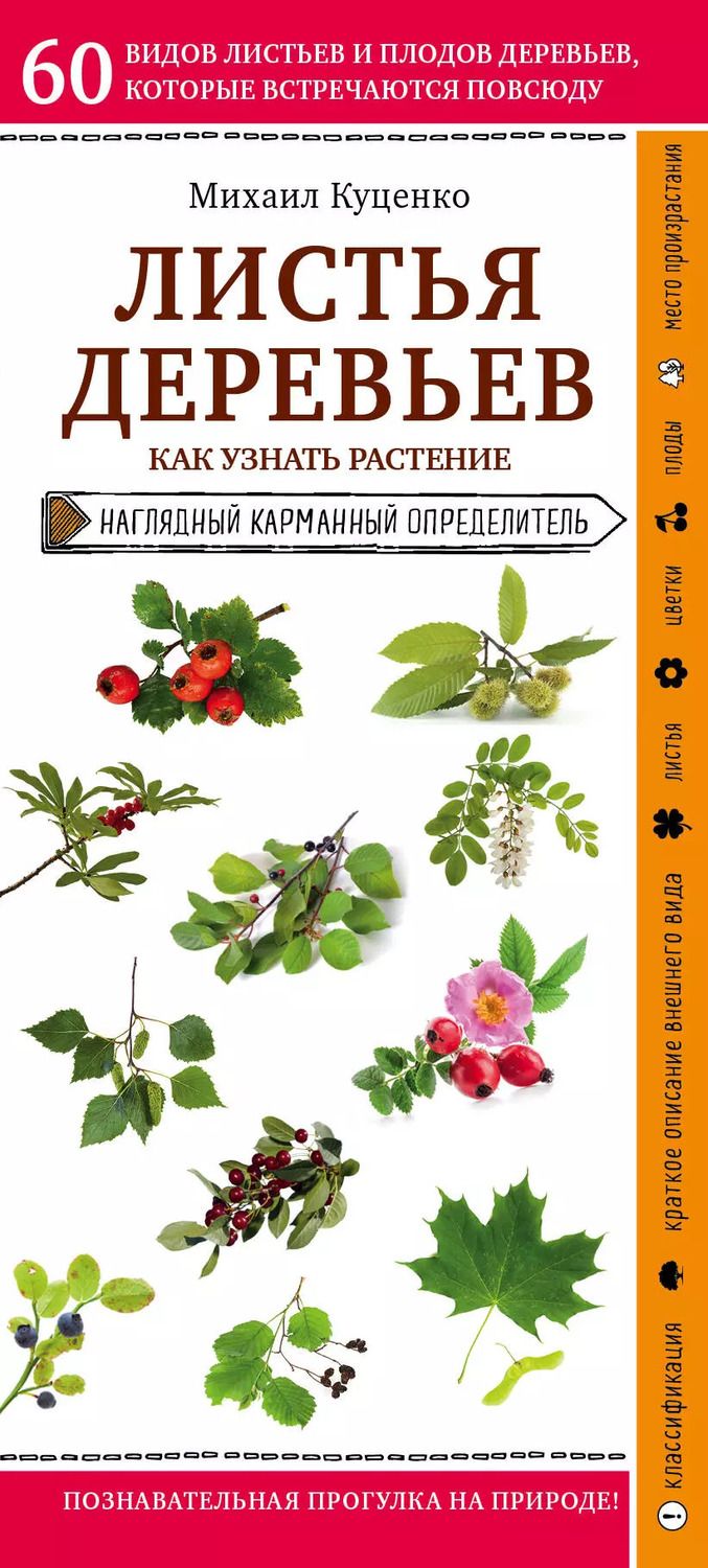 Обложка книги "Михаил Куценко: Листья деревьев. Как узнать растение. Наглядный карманный определитель"