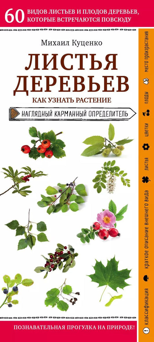 Обложка книги "Михаил Куценко: Листья деревьев. Как узнать растение. Наглядный карманный определитель"