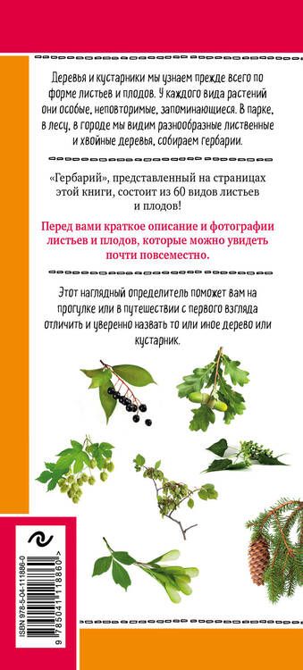 Фотография книги "Михаил Куценко: Листья деревьев. Как узнать растение. Наглядный карманный определитель"