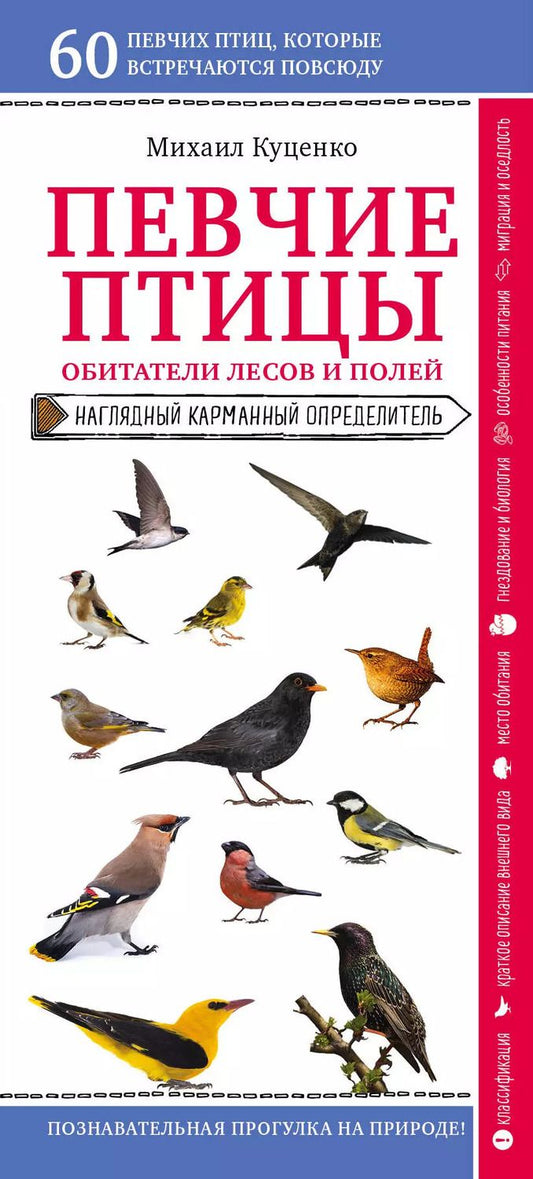 Обложка книги "Михаил Куценко: Певчие птицы. Обитатели лесов и полей. Наглядный карманный определитель"