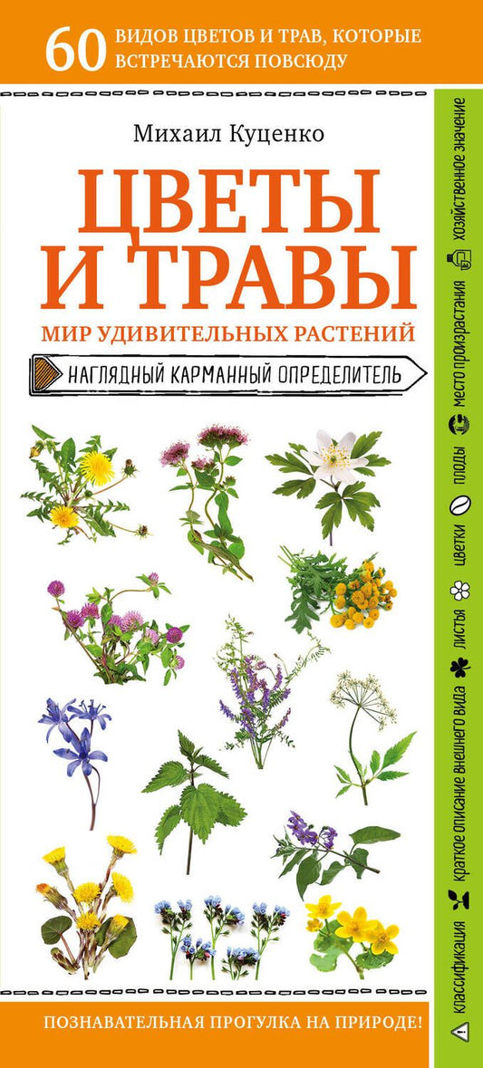 Обложка книги "Михаил Куценко: Цветы и травы. Мир удивительных растений. Наглядный карманный определитель"