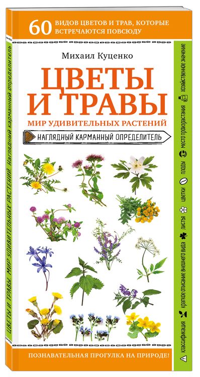 Фотография книги "Михаил Куценко: Цветы и травы. Мир удивительных растений. Наглядный карманный определитель"