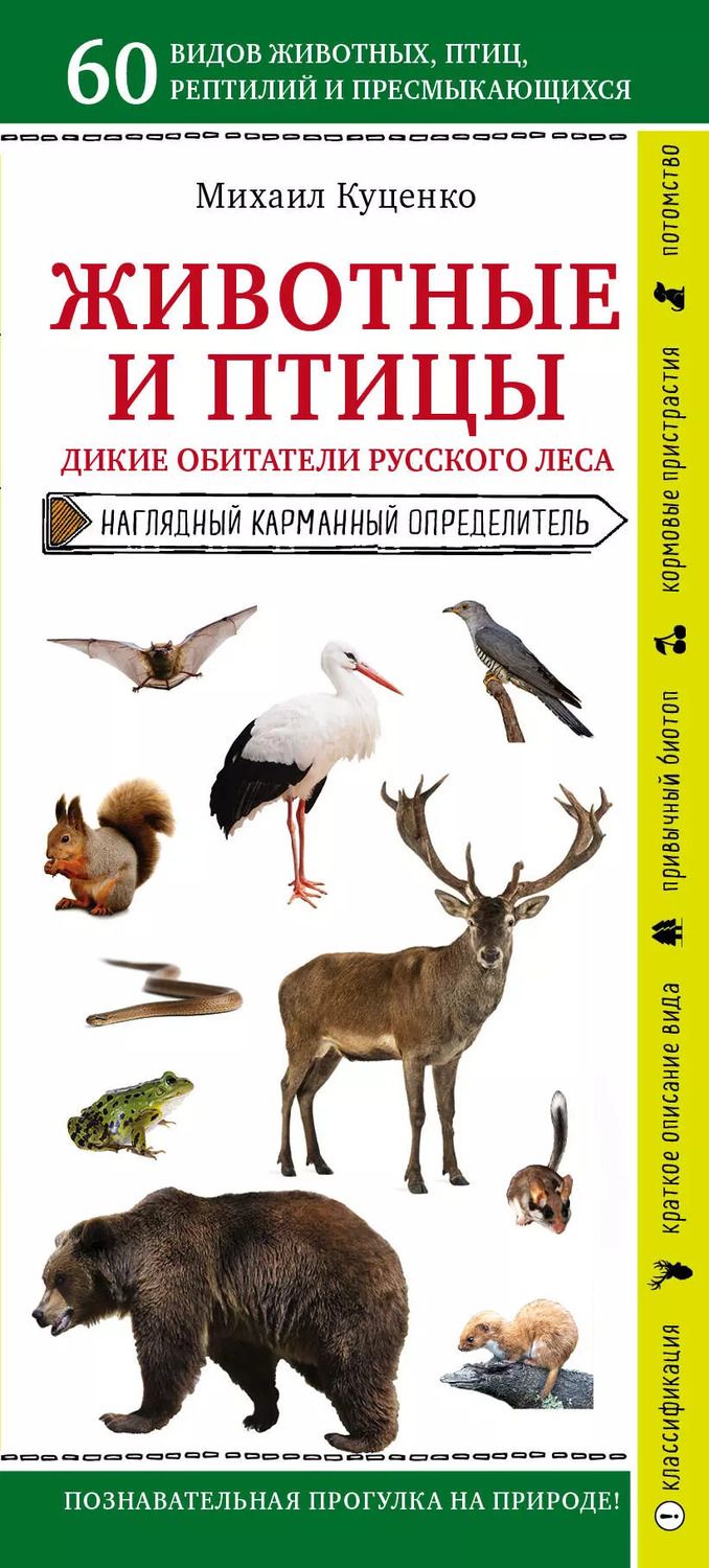 Обложка книги "Михаил Куценко: Животные и птицы. Дикие обитатели русского леса. Наглядный карманный определитель"