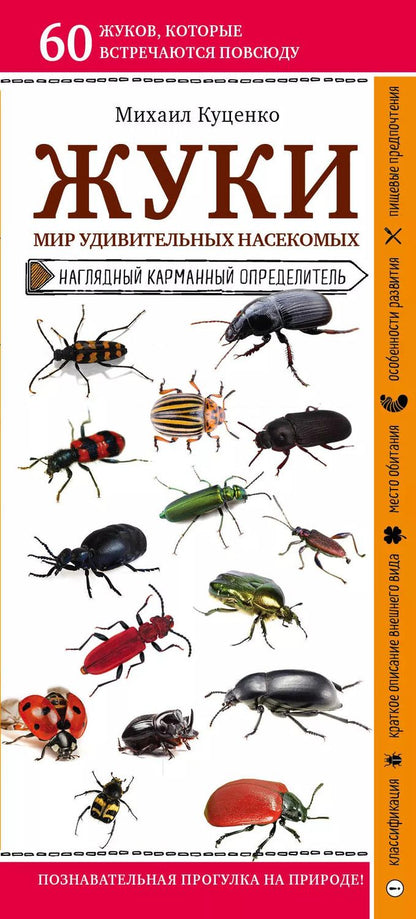 Обложка книги "Михаил Куценко: Жуки. Мир удивительных насекомых. Наглядный карманный определитель"