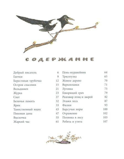 Фотография книги "Михаил Пришвин: Берестяная трубочка: рассказы"