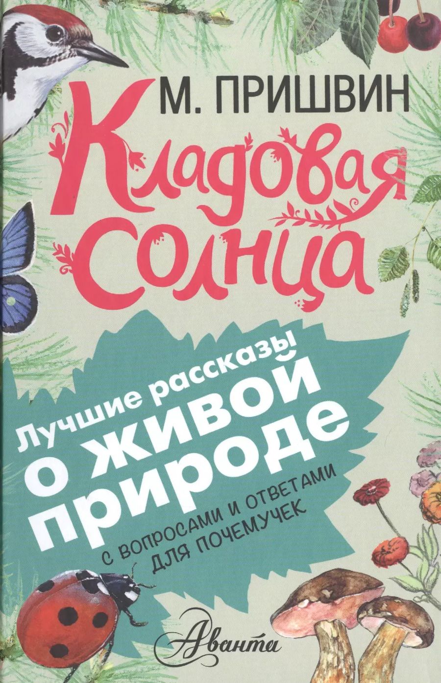 Обложка книги "Михаил Пришвин: Кладовая солнца"