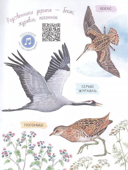 Фотография книги "Михаил Пришвин: Рассказы о природе"