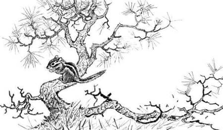 Фотография книги "Михаил Пришвин: Золотой луг"