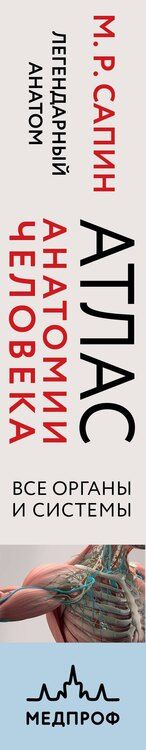 Фотография книги "Михаил Романович: Атлас анатомии человека. Все органы и системы"