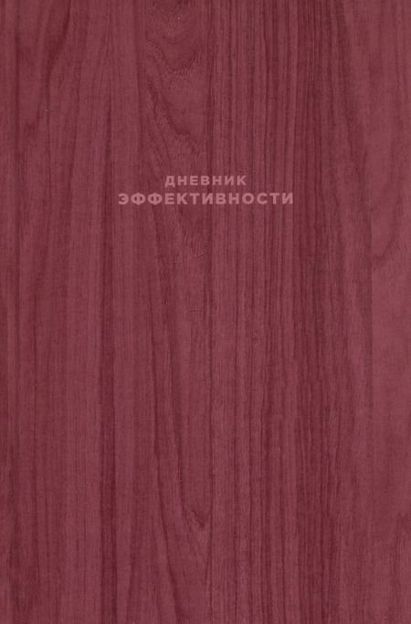 Фотография книги "Михаил Саидов: Дневник эффективности"