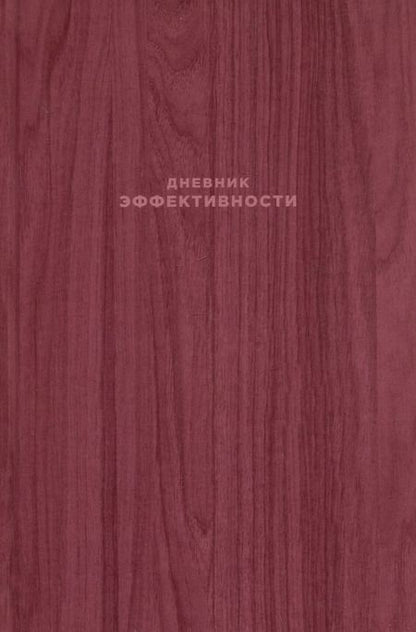Фотография книги "Михаил Саидов: Дневник эффективности"