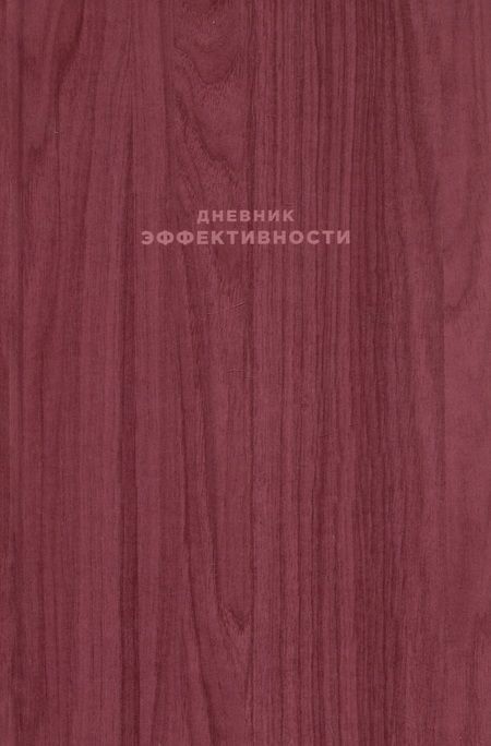 Фотография книги "Михаил Саидов: Дневник эффективности"