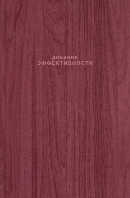 Фотография книги "Михаил Саидов: Дневник эффективности"