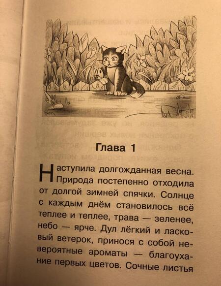 Фотография книги "Михаил Самарский: Лесогория. Приключения котёнка Филипса в сказочной стране"