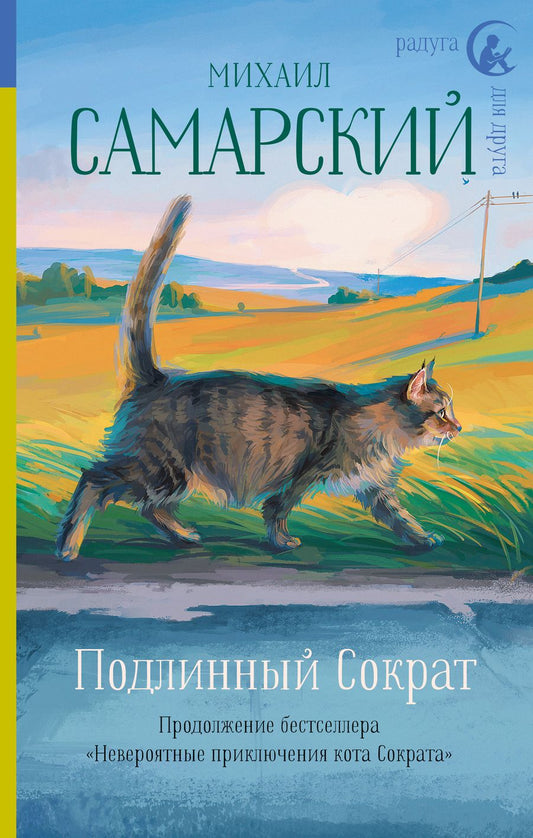 Обложка книги "Михаил Самарский: Подлинный Сократ"