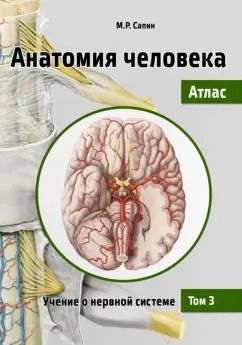 Обложка книги "Михаил Сапин: Анатомия человека. Атлас. Учебное пособие. В 3-х томах. Том 3. Учение о нервной системе"