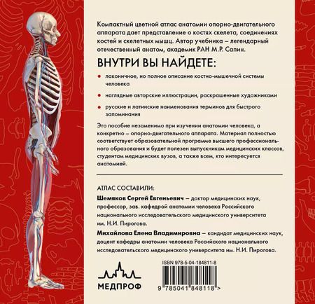Фотография книги "Михаил Сапин: Анатомия человека. Компактный атлас. Опорно-двигательный аппарат"