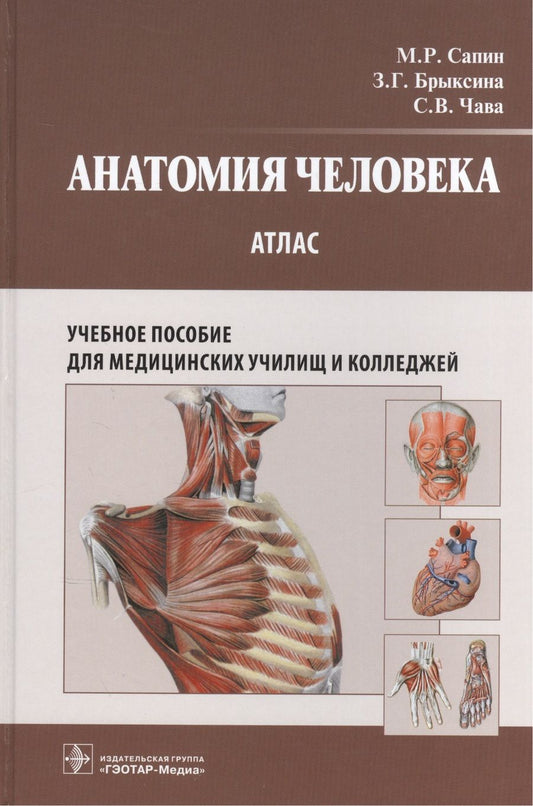 Обложка книги "Михаил Сапин: Анатомия человека : атлас : учеб. пособие для медицинских училищ и колледжей"