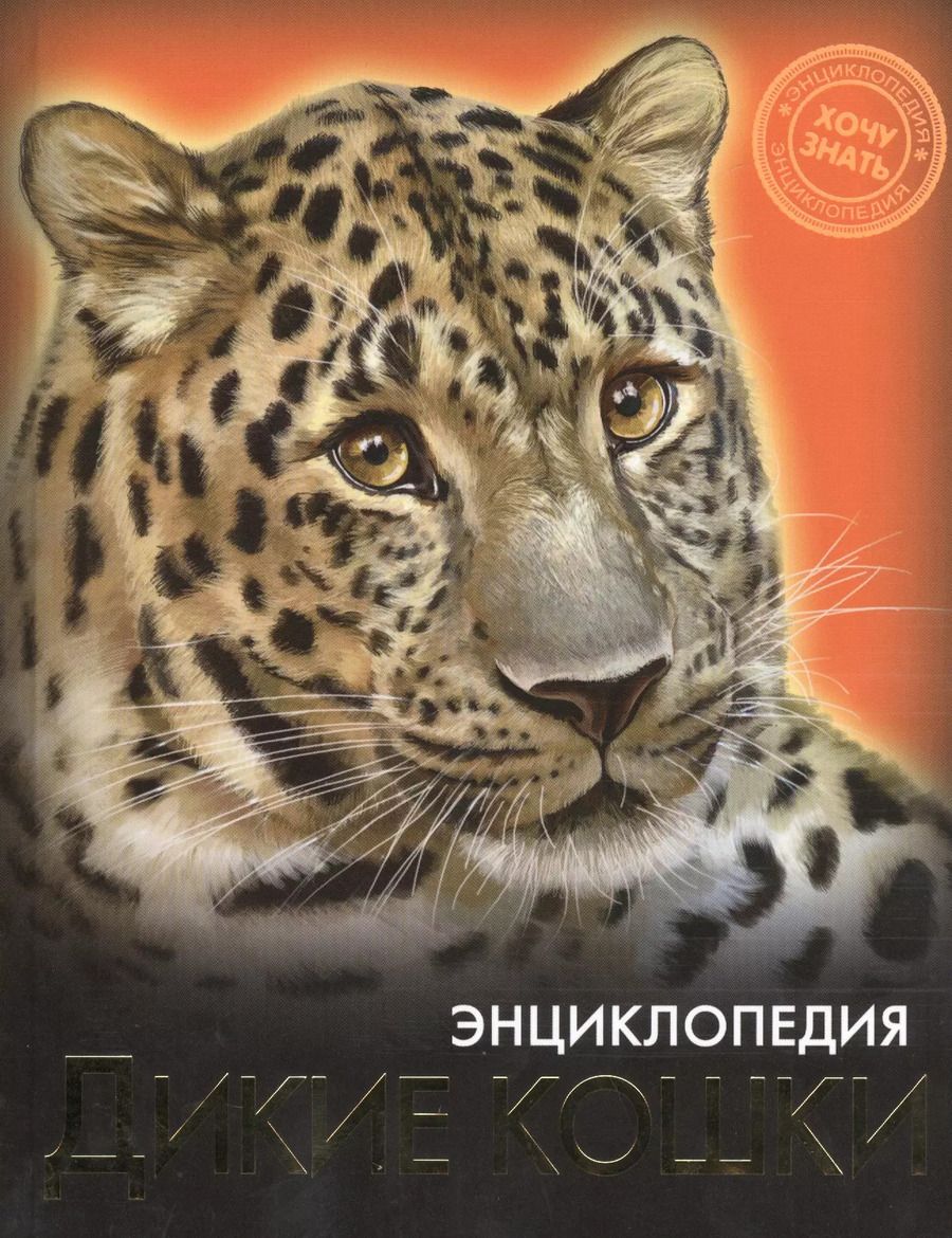 Обложка книги "Михаил Савостин: Дикие кошки"