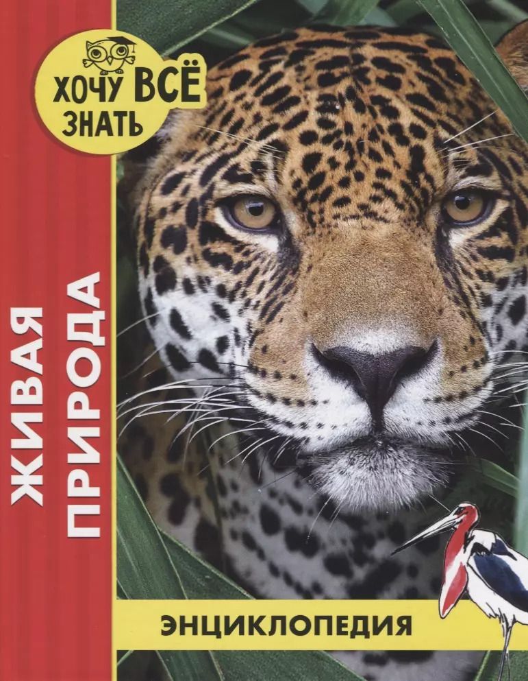 Обложка книги "Михаил Савостин: Живая природа. Энциклопедия"