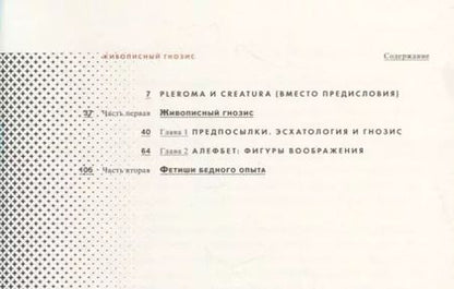 Фотография книги "Михаил Ямпольский: Живописный гнозис"