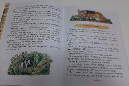 Фотография книги "Михаил Зощенко: Истории для детей"
