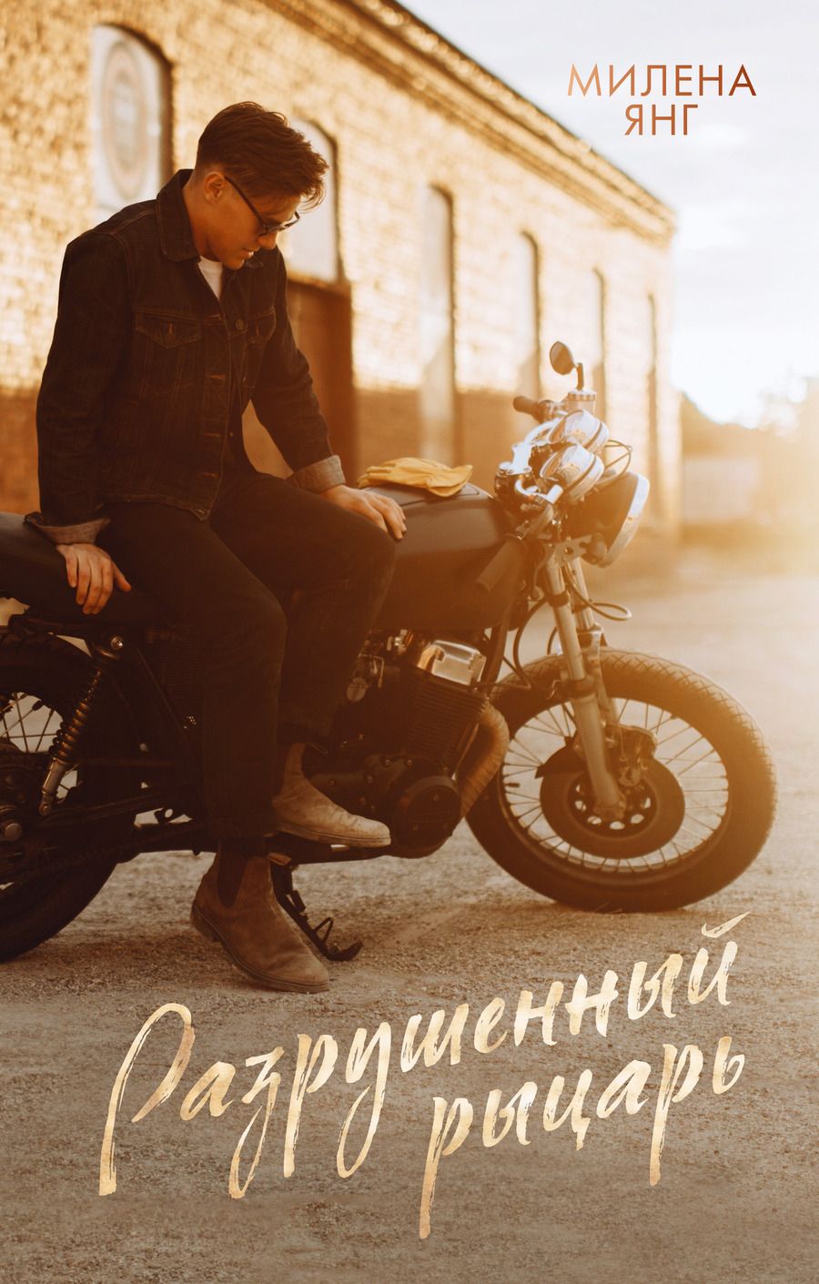 Обложка книги "Милена Янг: Разрушенный рыцарь"